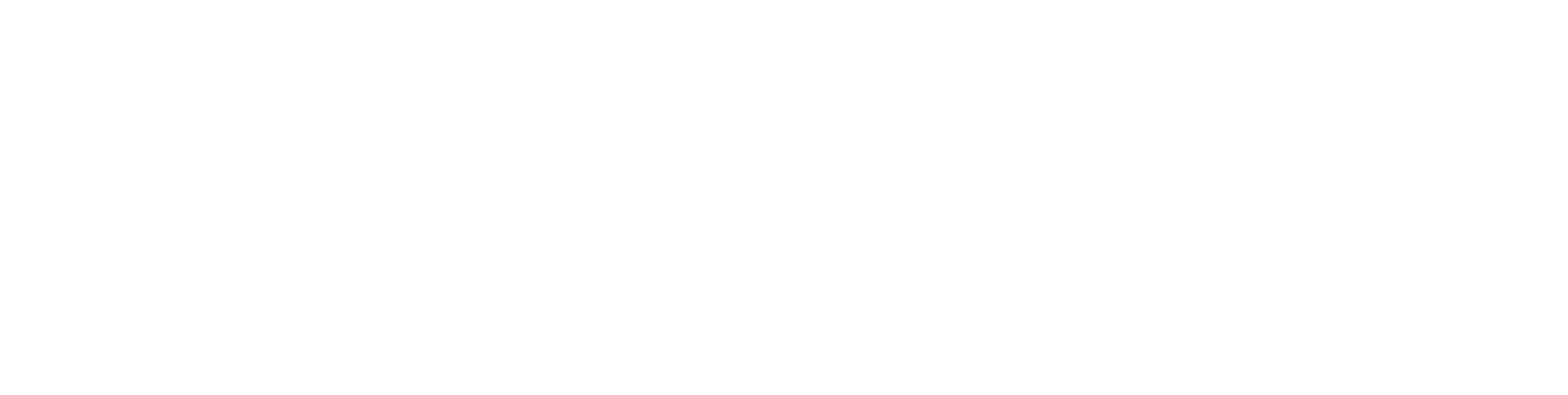 Northern Financial Services